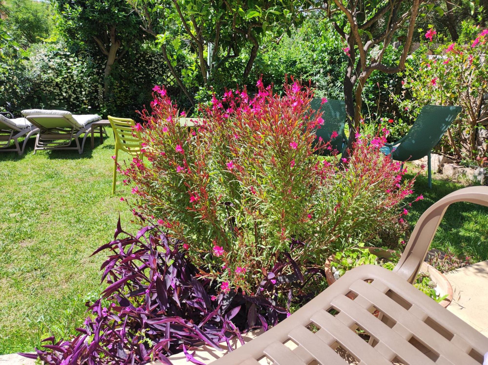 Il Giardino Di Tatiana Rooms & Breakfast La Maddalena  Bagian luar foto