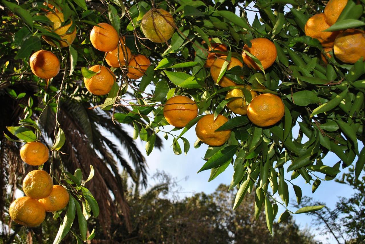 Il Giardino Di Tatiana Rooms & Breakfast La Maddalena  Bagian luar foto